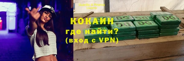 spice Богданович