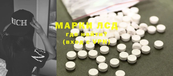spice Богданович