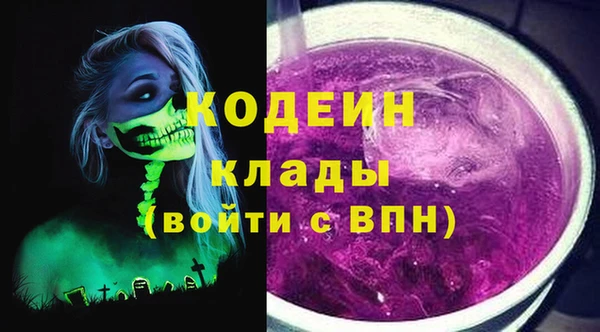 гашик Россошь