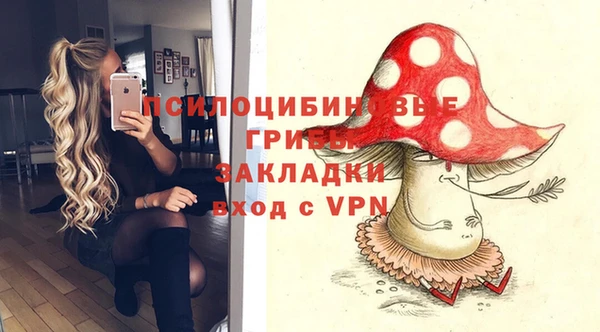 COCAINE Бородино